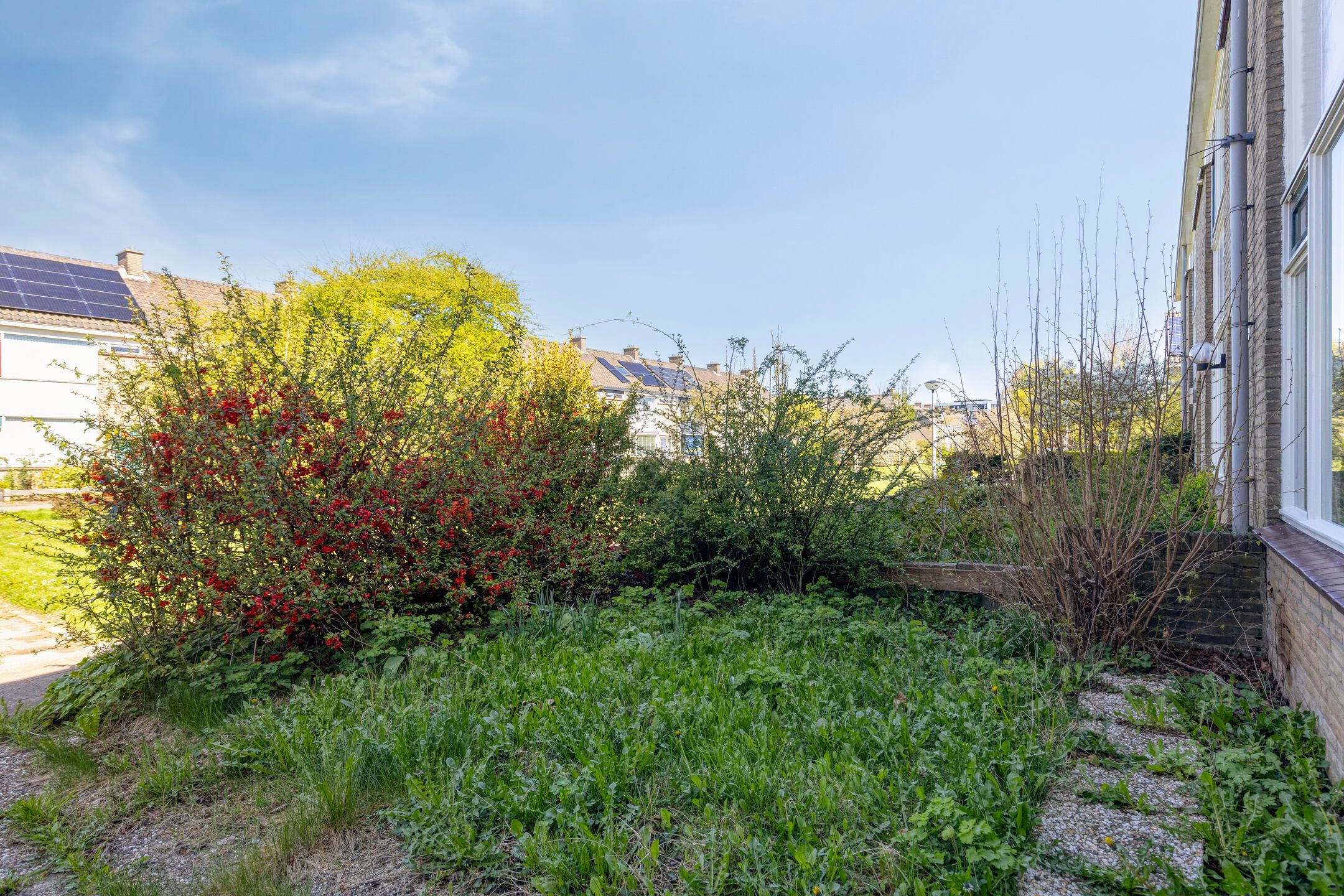 Foto 6 van Marumplantsoen 7