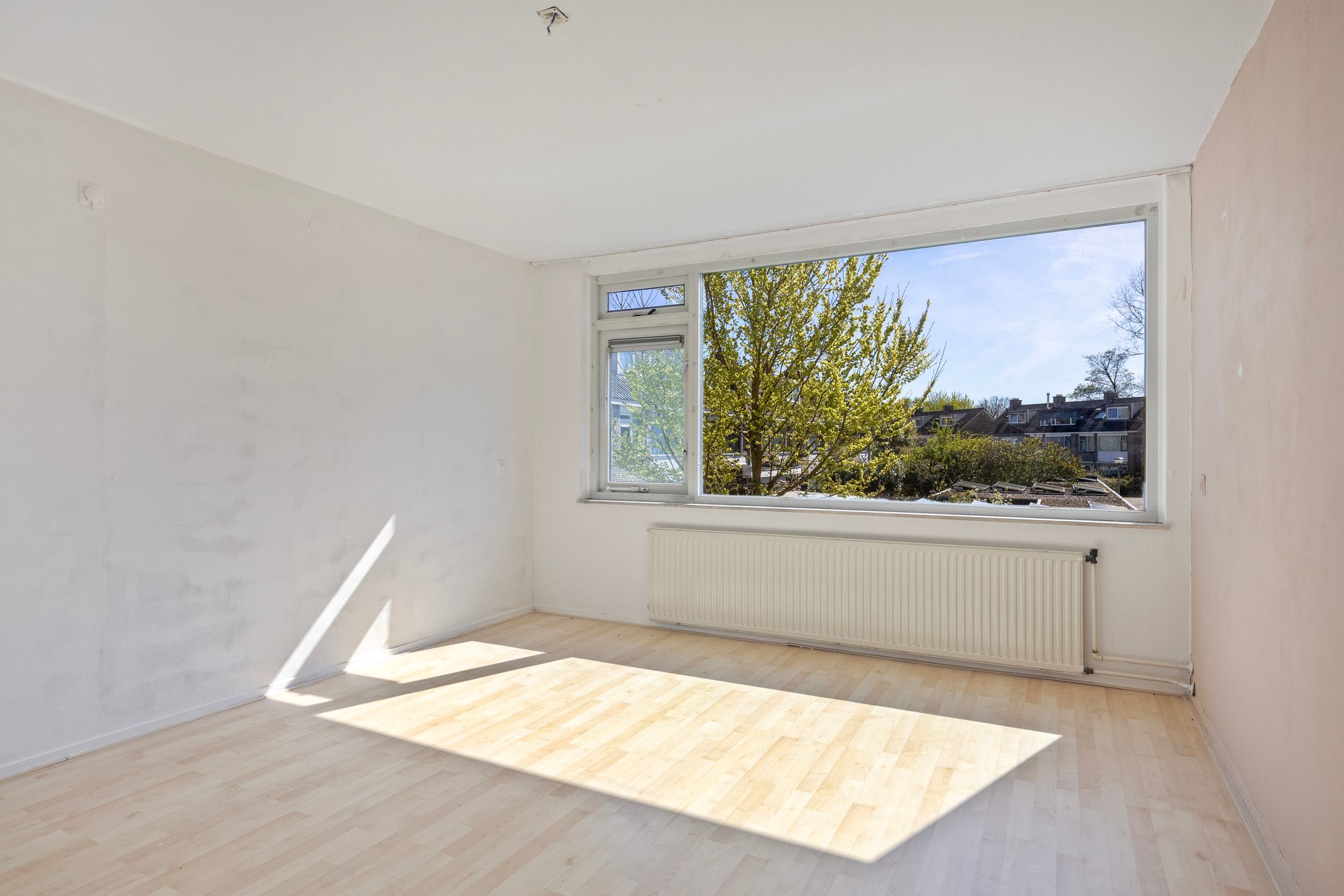 Foto 21 van Marumplantsoen 7