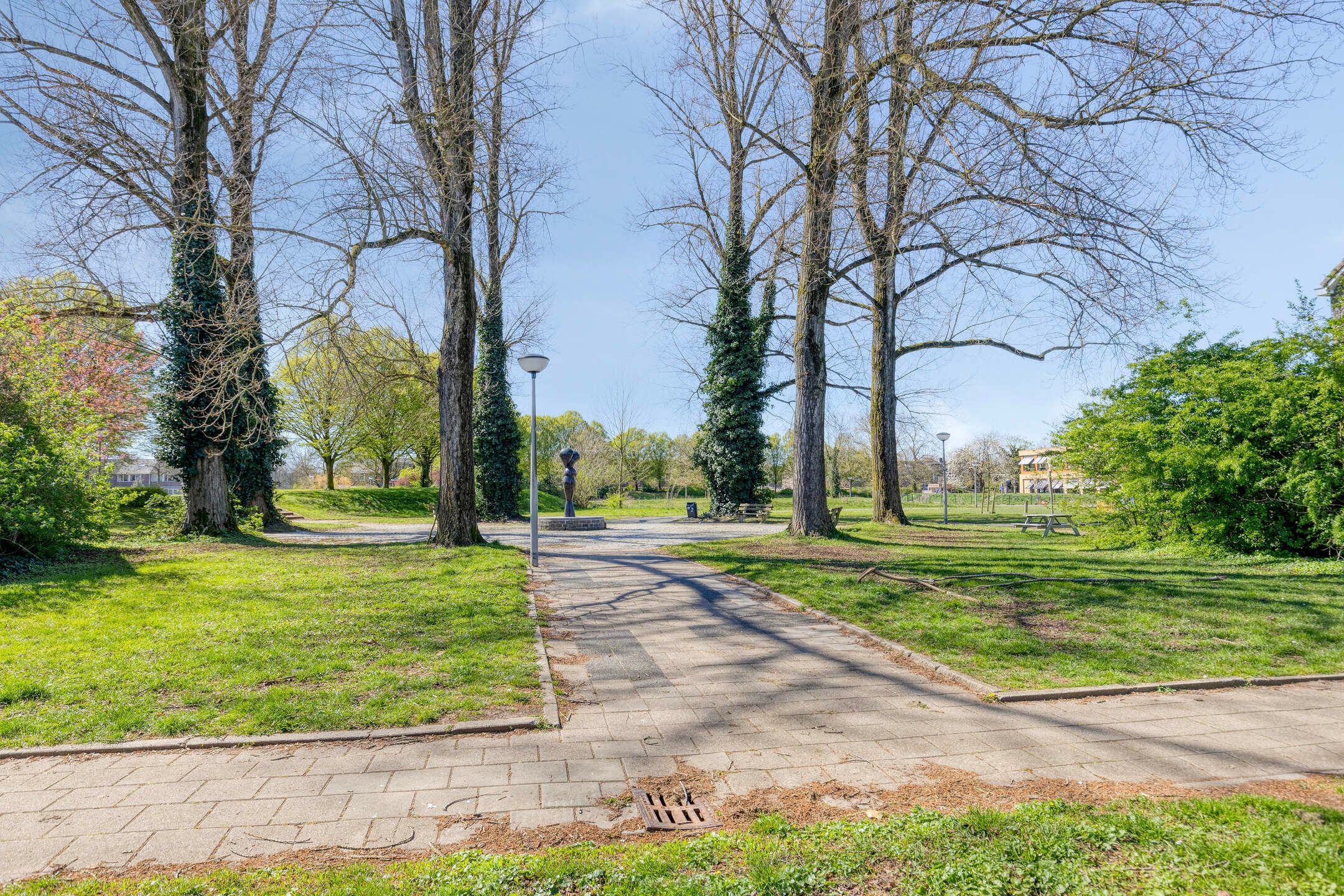 Foto 39 van Marumplantsoen 7