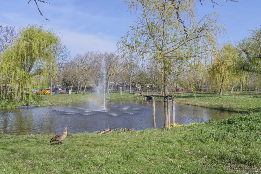 Foto 38 van Salviahof 60