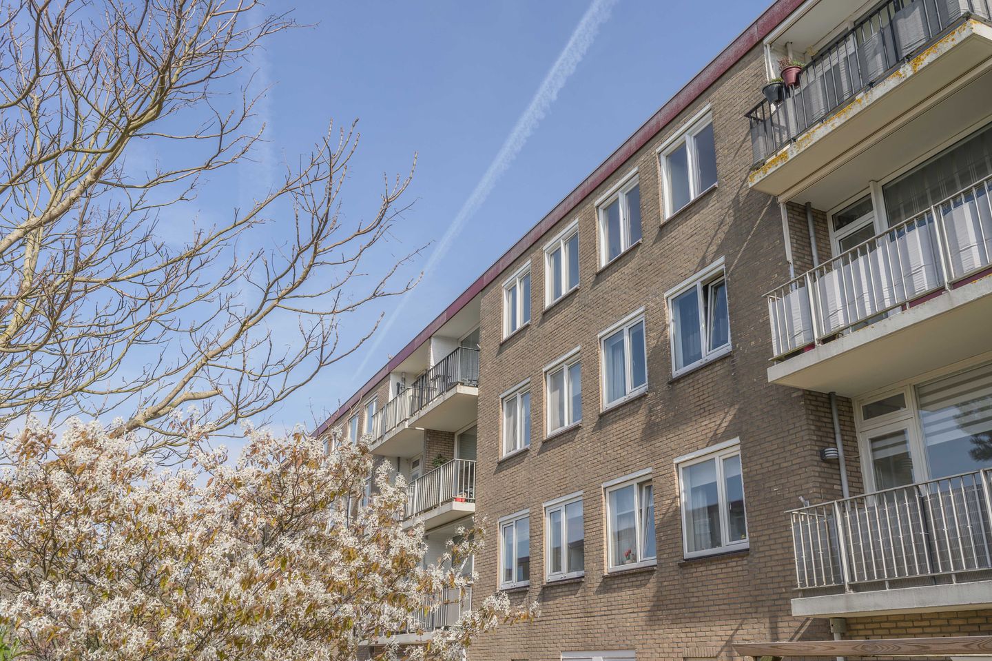 Foto 35 van Salviahof 60