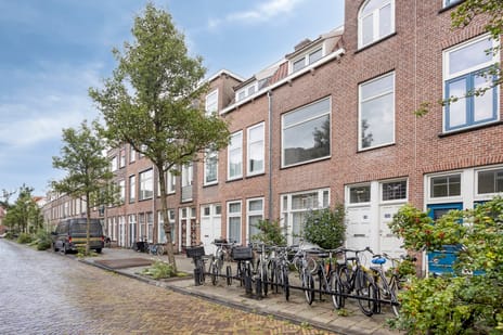 Boomstraat thumbnail