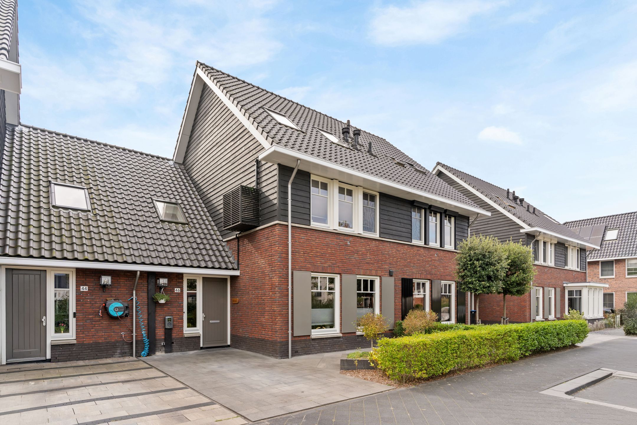 Goudreinet 46