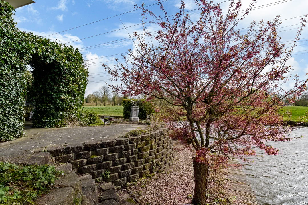 Photo 23 of It Giele Fjild 11