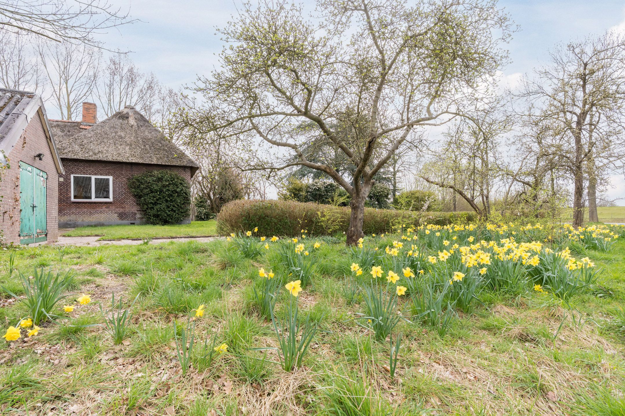 Photo 45 of De Doornweg 10