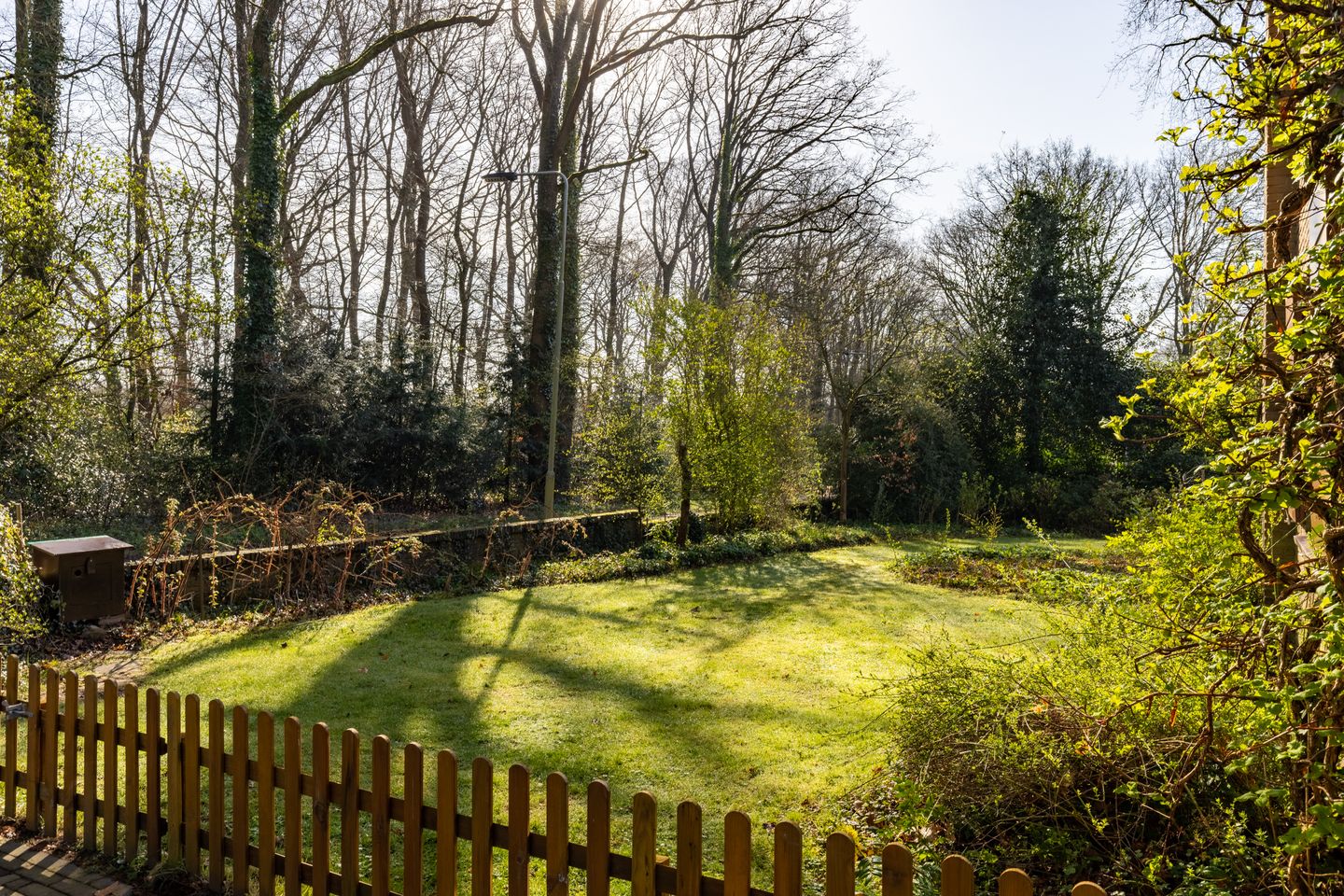 Foto 4 van Waterbergseweg 17-A