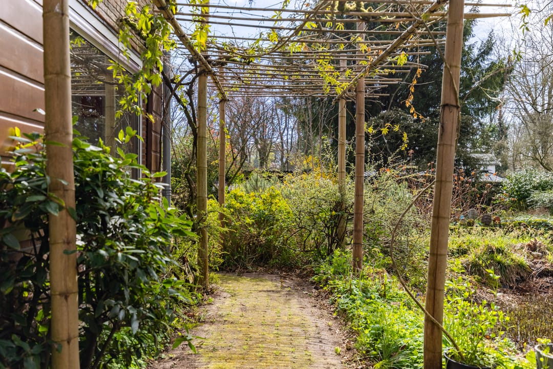 Foto 43 van Waterbergseweg 17-A