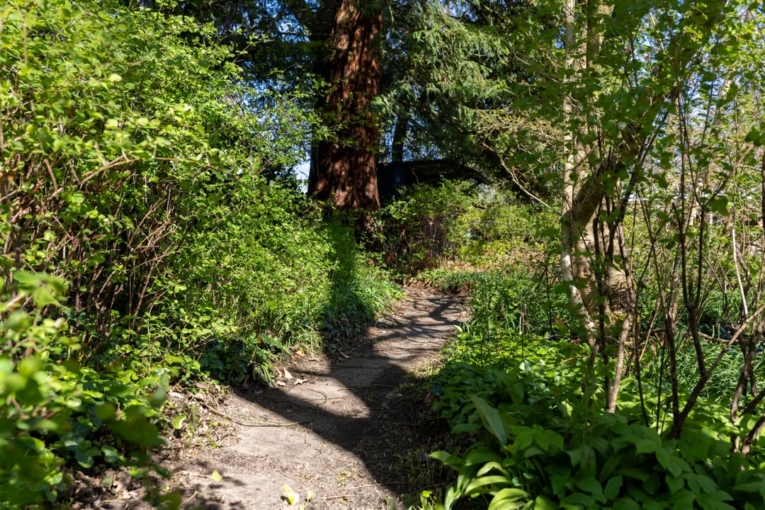 Foto 26 van Waterbergseweg 17-A