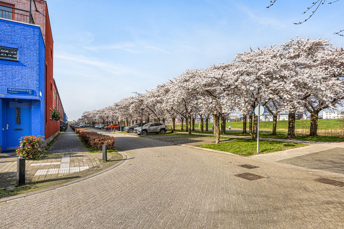 Foto 35 van Mahoniestraat 31