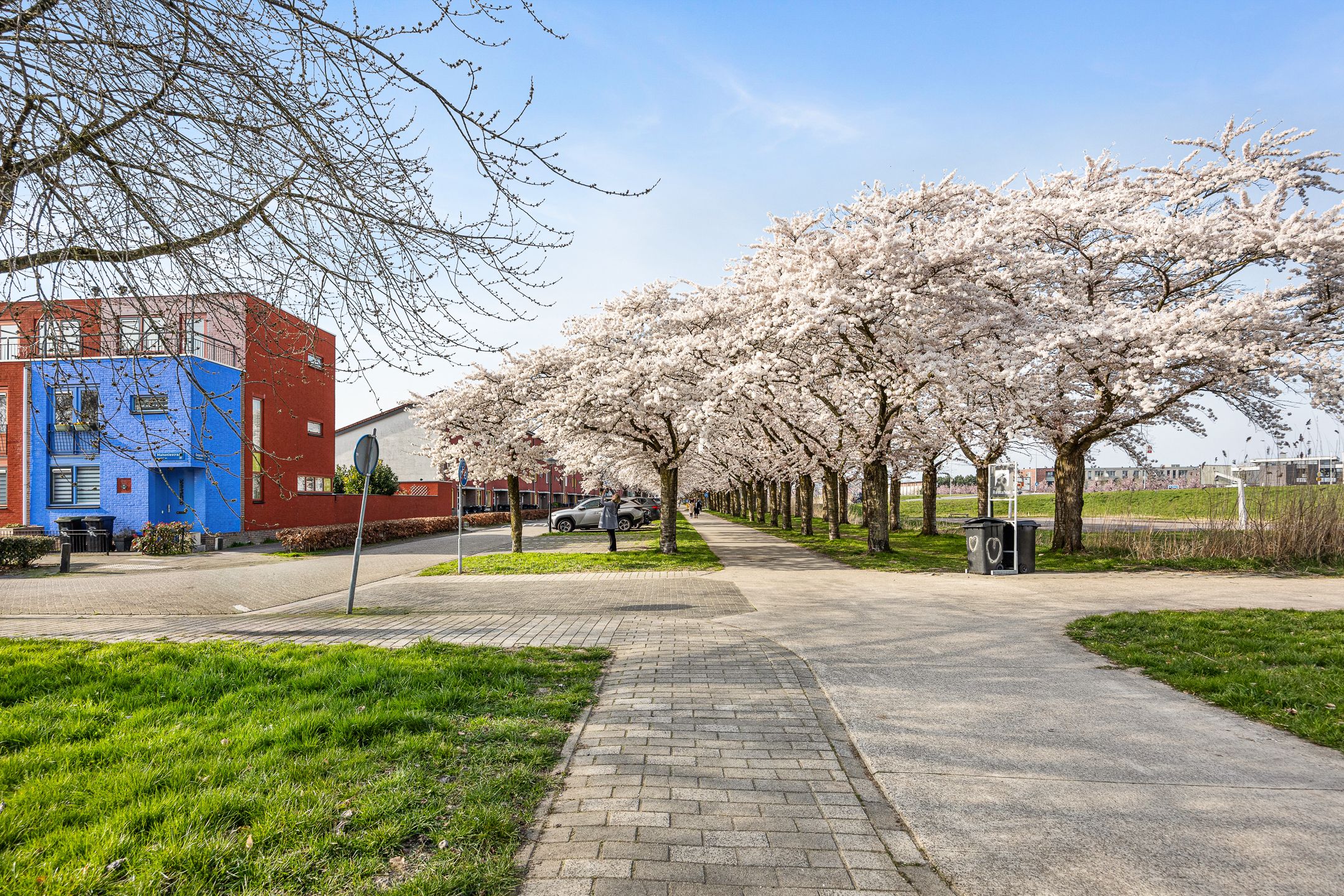 Foto 36 van Mahoniestraat 31