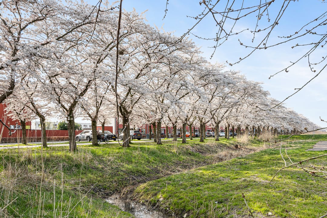 Foto 38 van Mahoniestraat 31