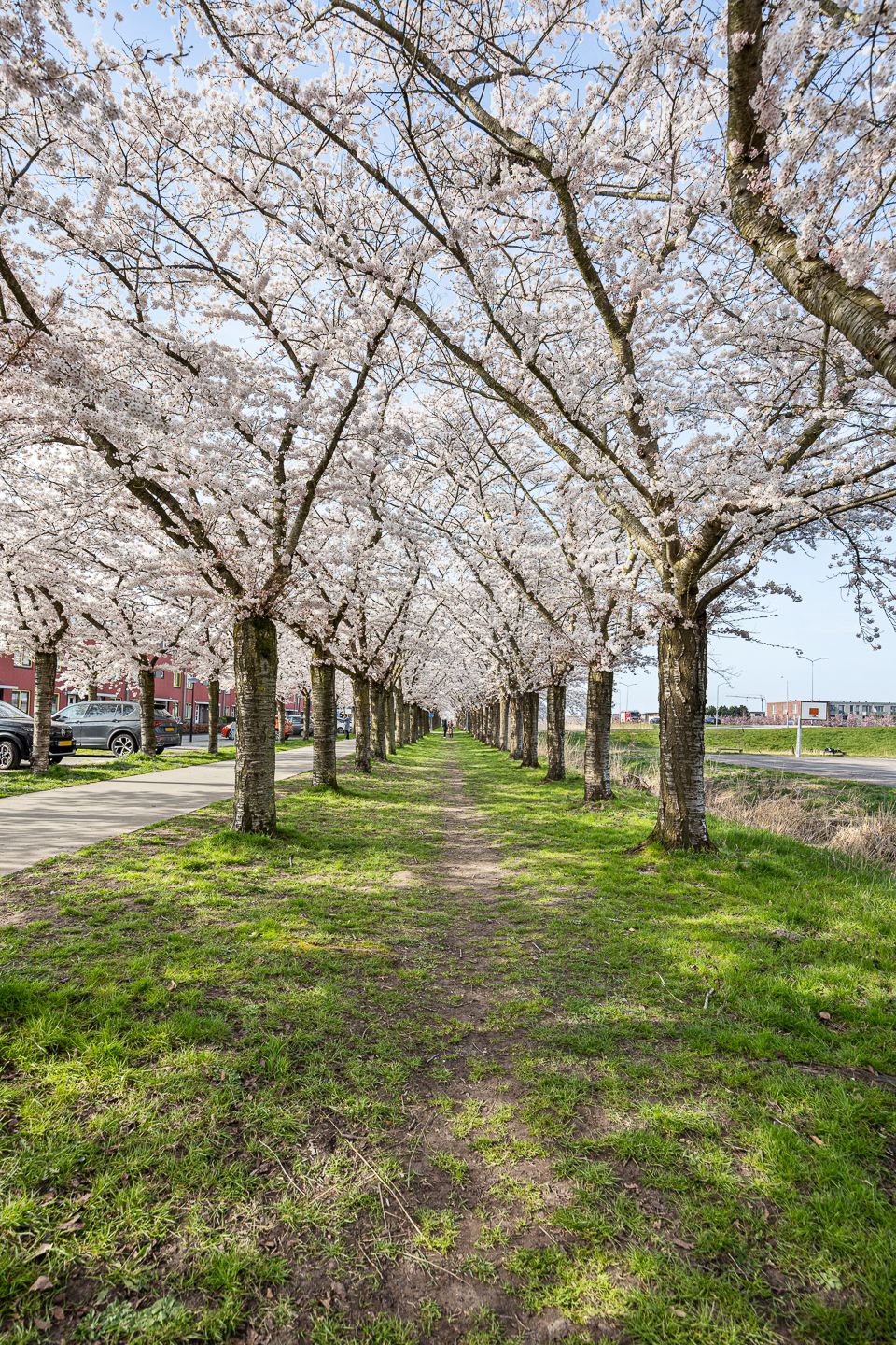 Foto 39 van Mahoniestraat 31