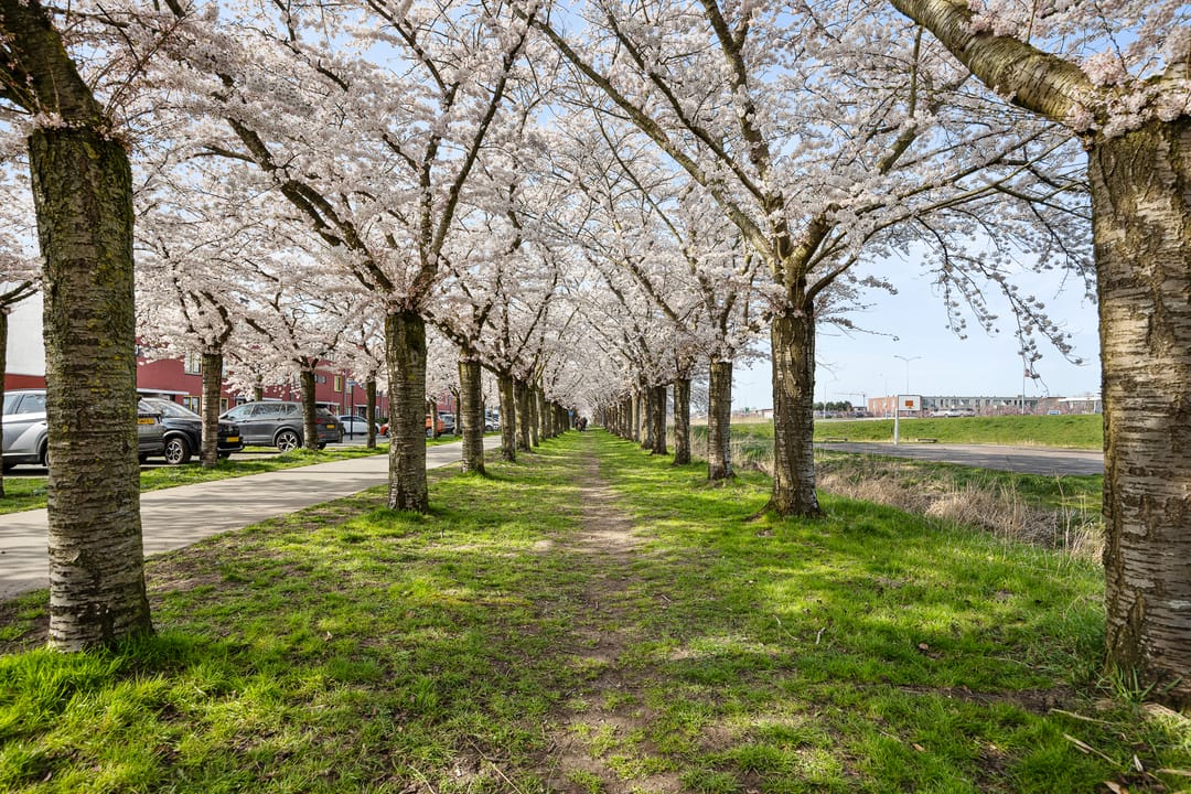 Foto 37 van Mahoniestraat 31