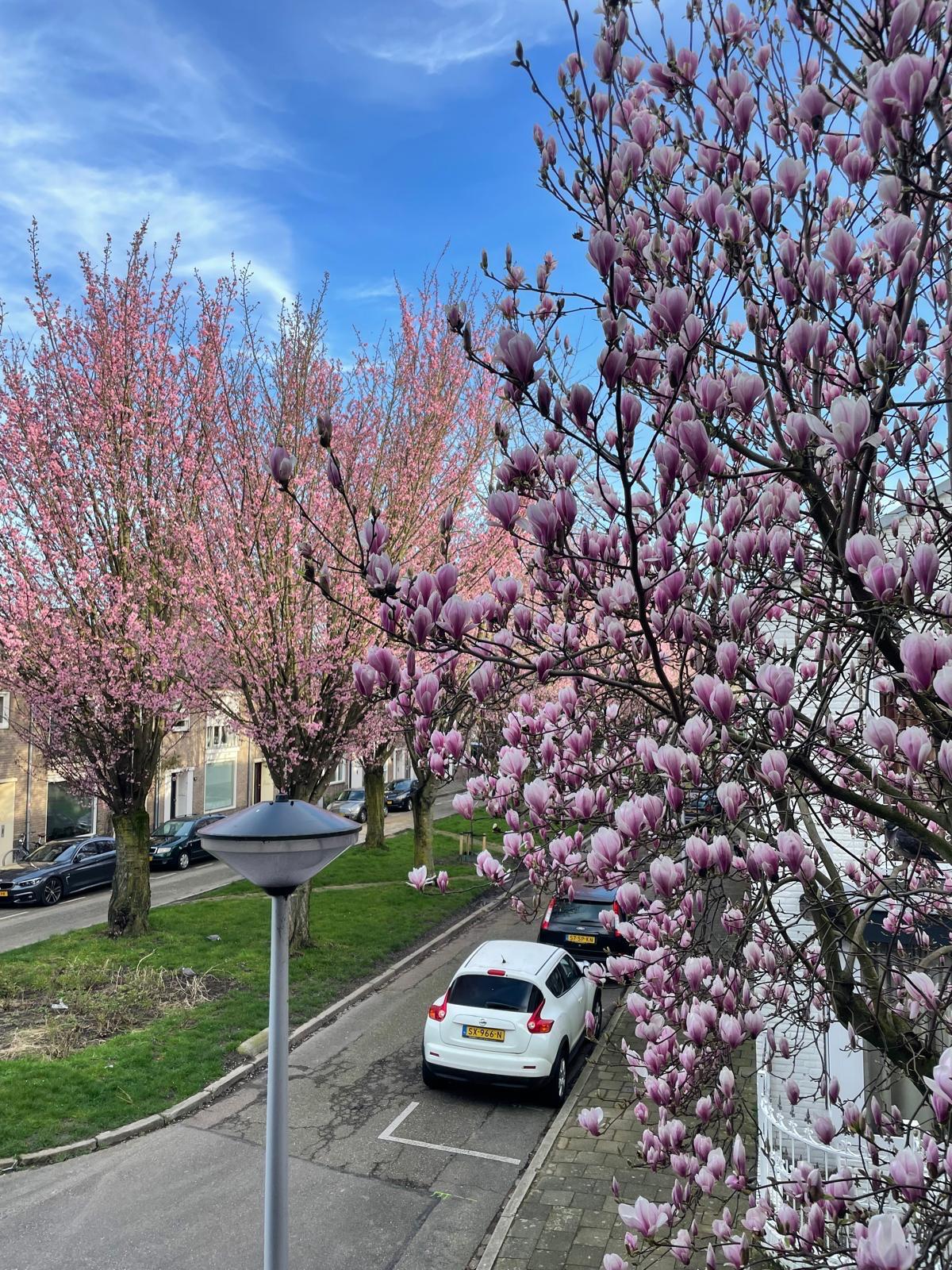 Foto 24 van Menno van Coehoornstraat 44-B