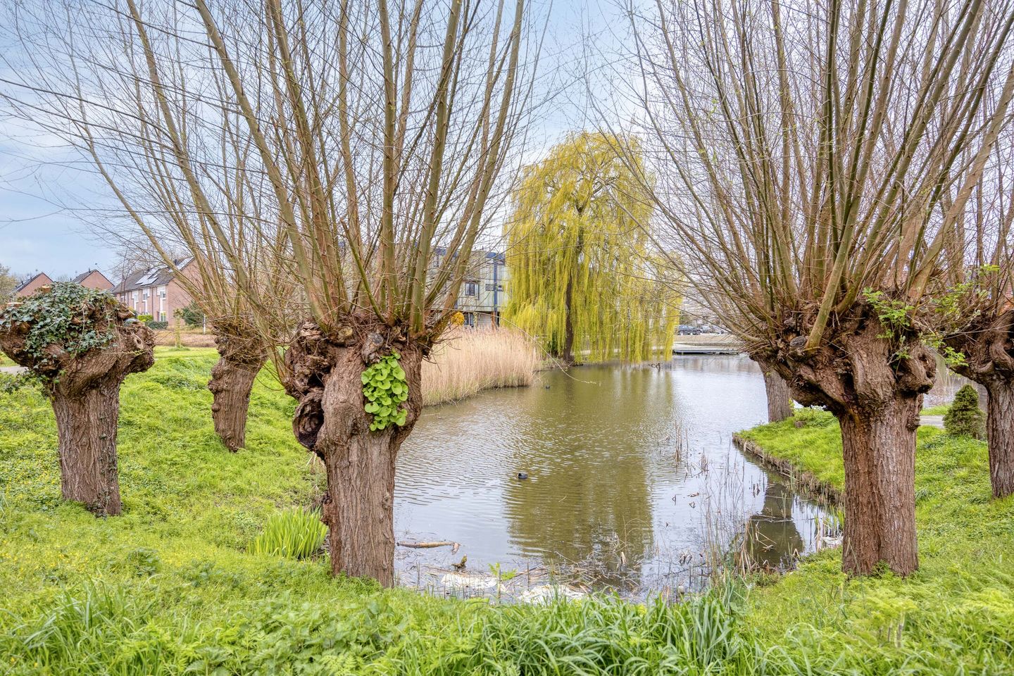 Foto 35 van Azaleapark 34