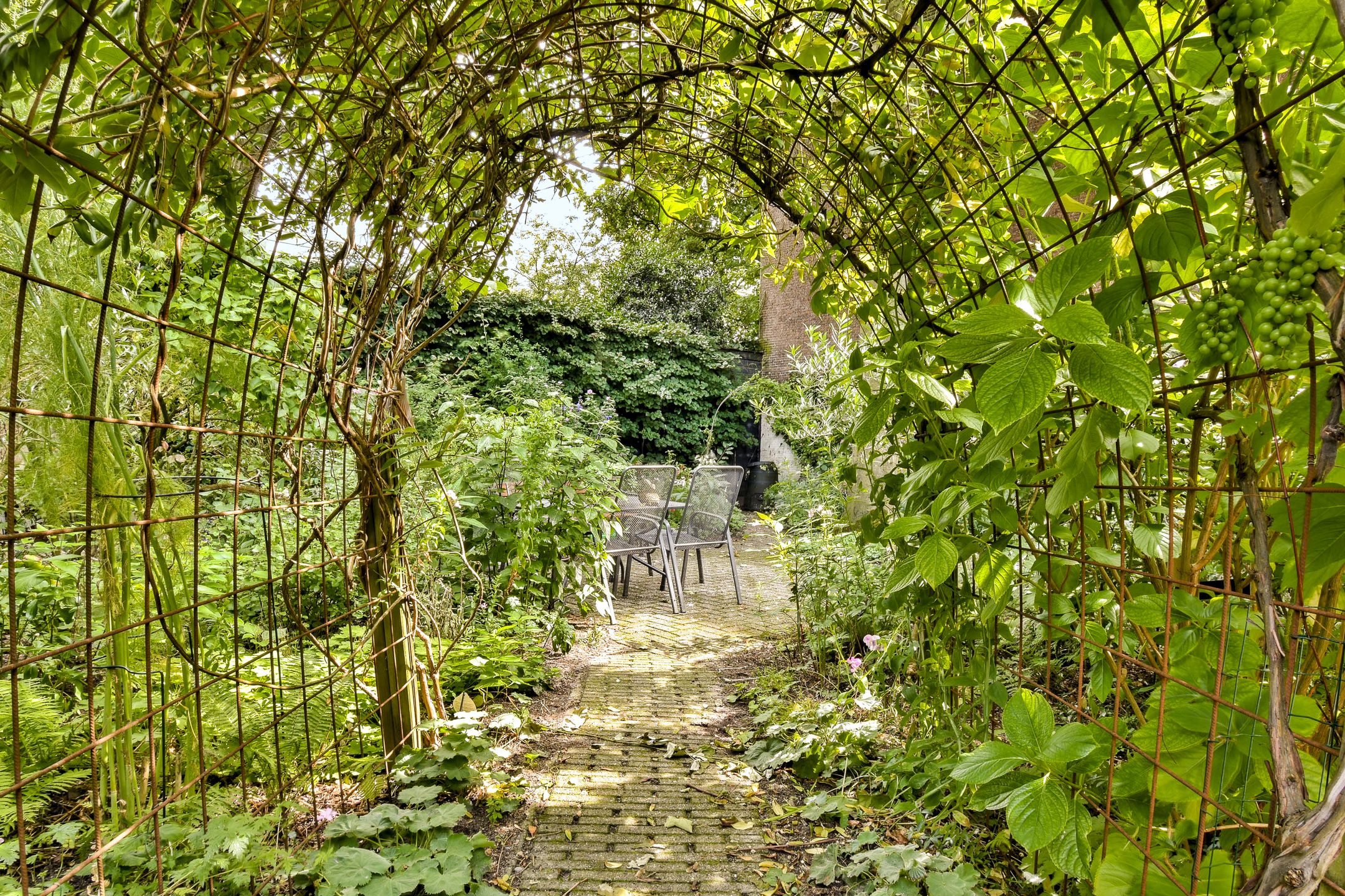 Foto 12 van Prinsengracht 79-E