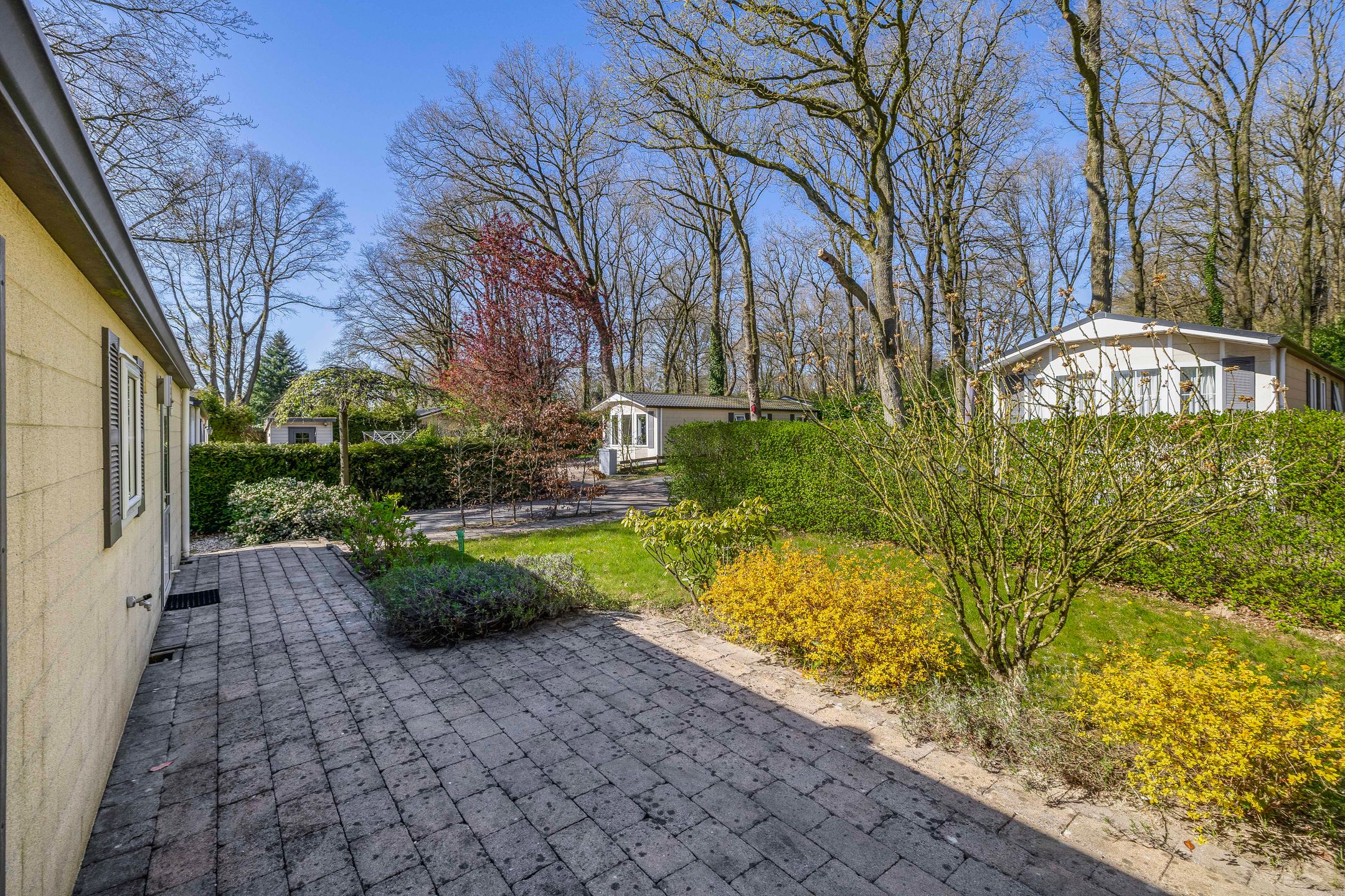 Foto 6 van Zoomweg 7-A041