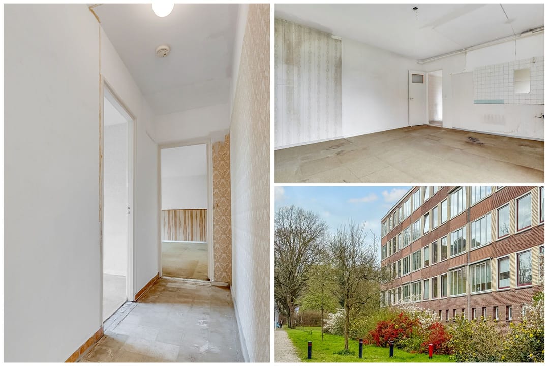 Foto 31 van Ravellaan 74