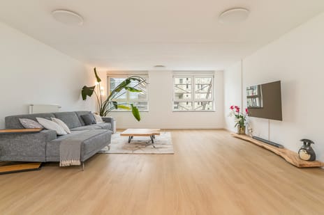 Laan op Zuid thumbnail