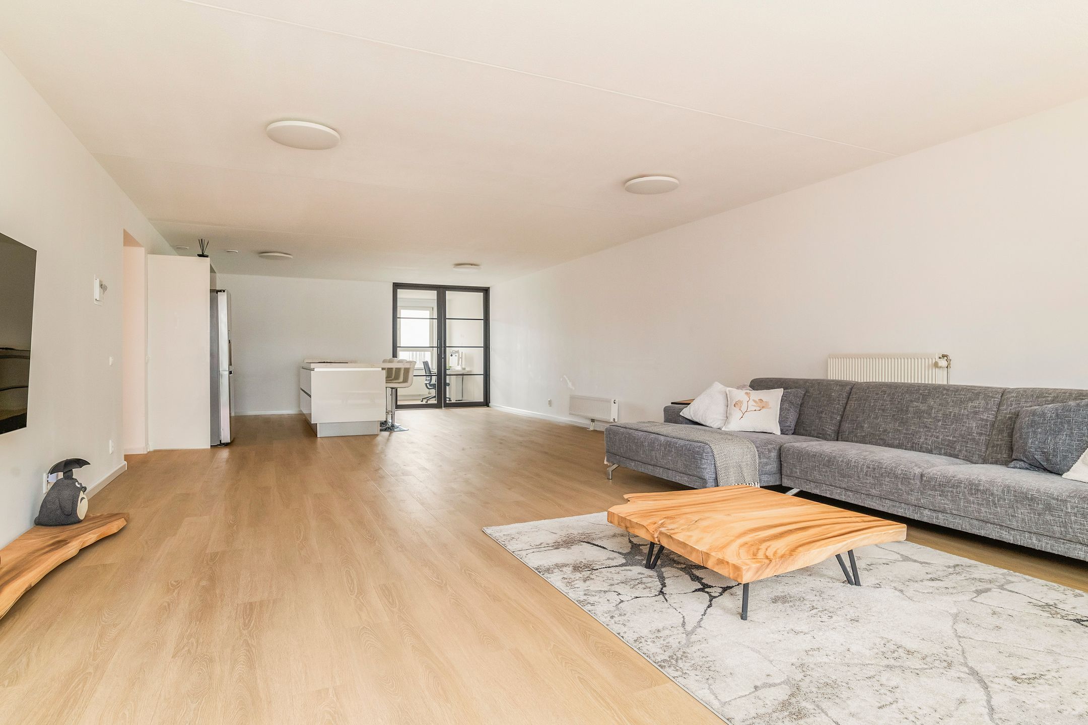 Photo 9 of Laan op Zuid 250