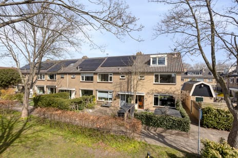 Blankertlaan thumbnail