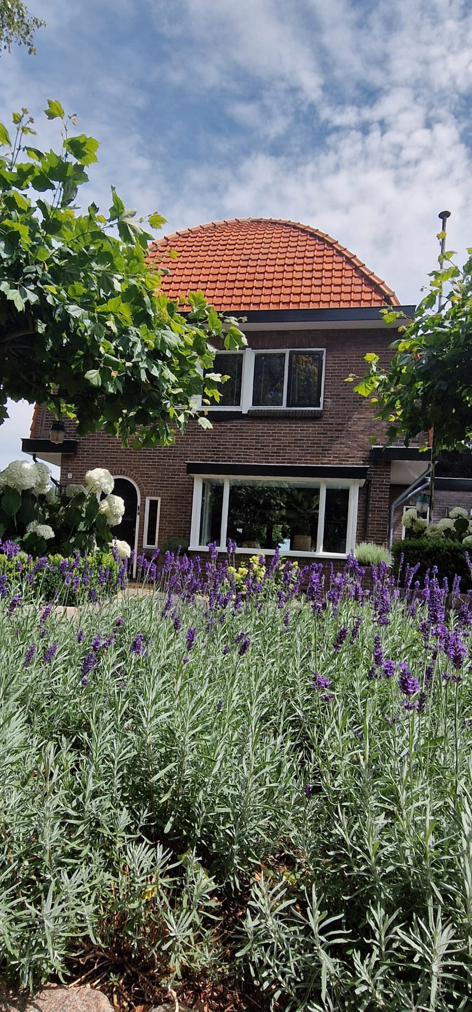 Photo 13 of van Lenneplaan 33