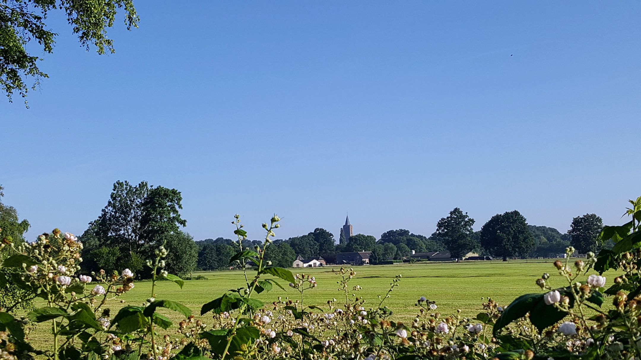 Photo 45 of van Lenneplaan 33