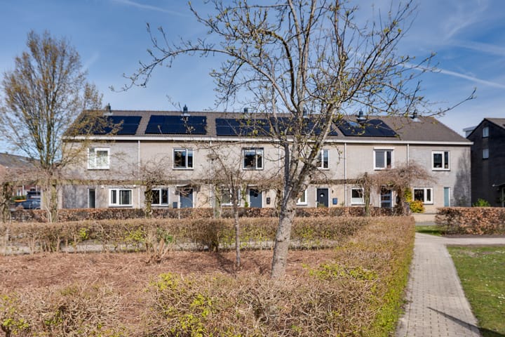 Kamilletuin 5 main image