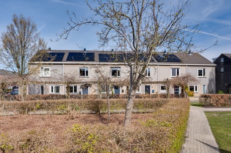 Kamilletuin thumbnail