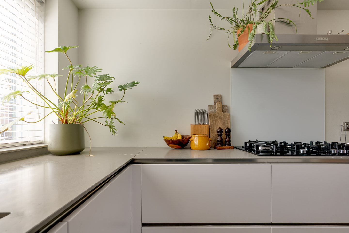 Foto 20 van Kamilletuin 5