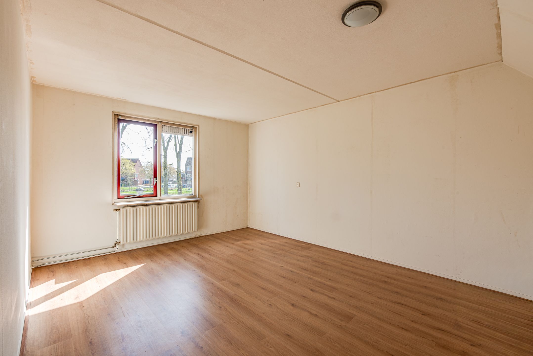 Photo 15 of Schoener 16 65