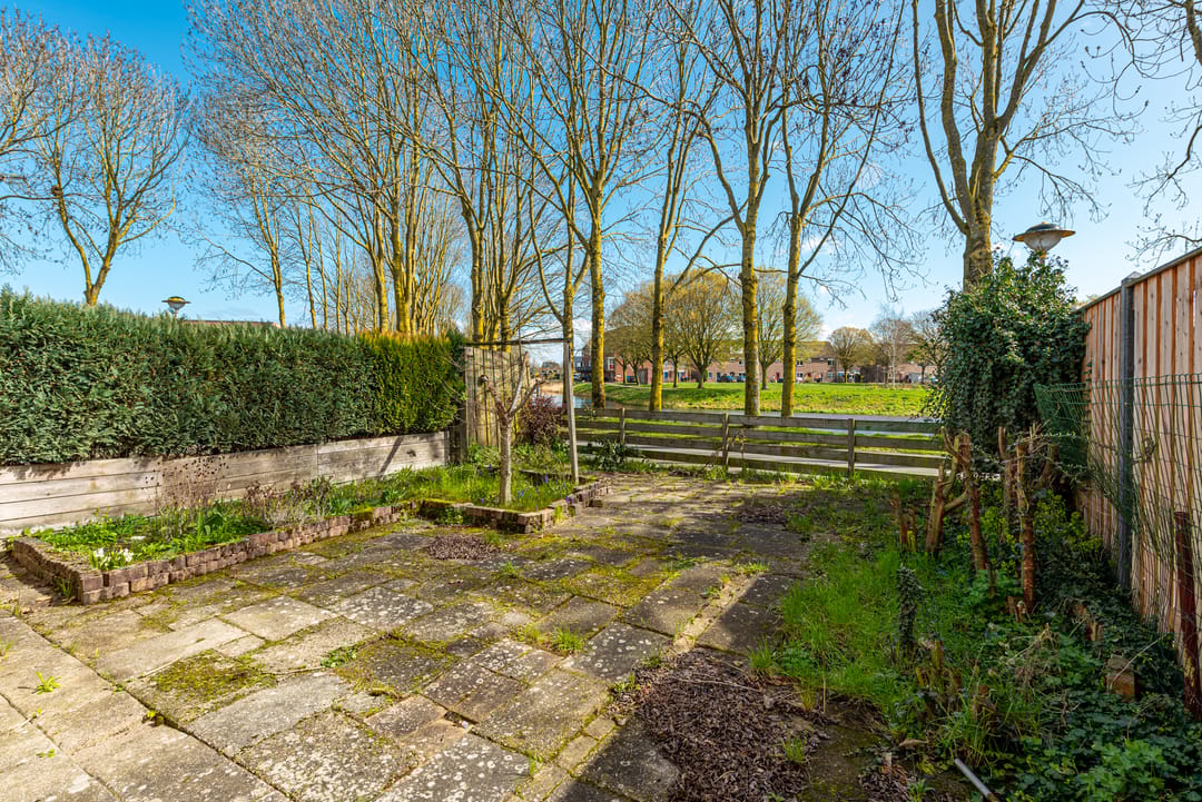 Photo 23 of Schoener 16 65