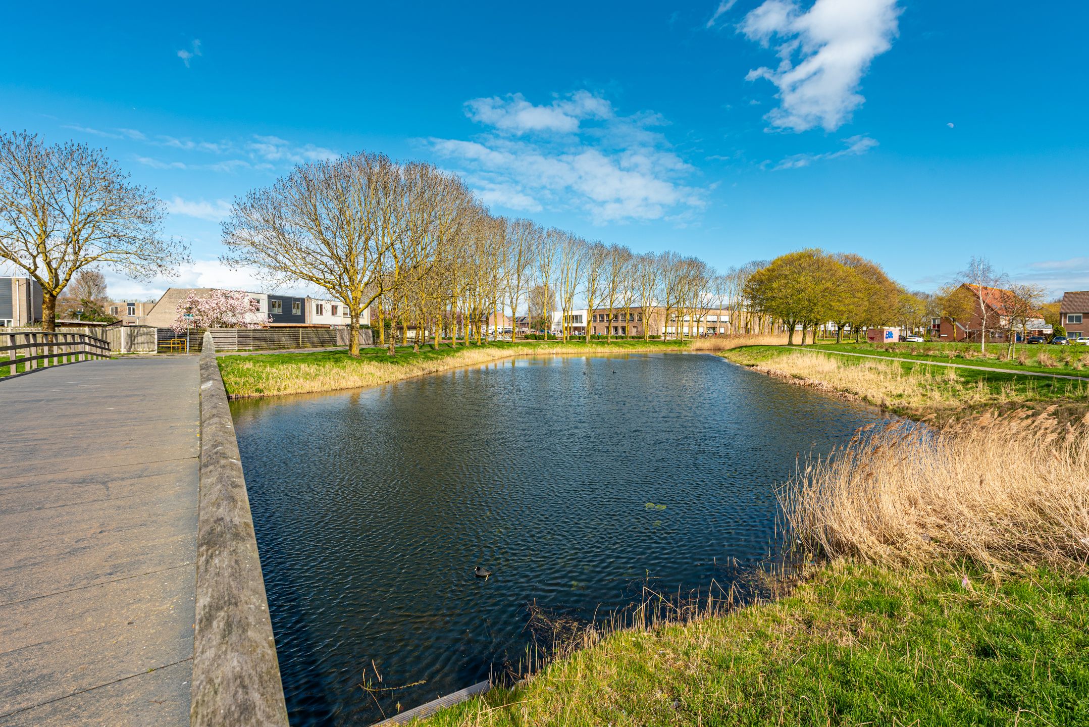 Photo 24 of Schoener 16 65