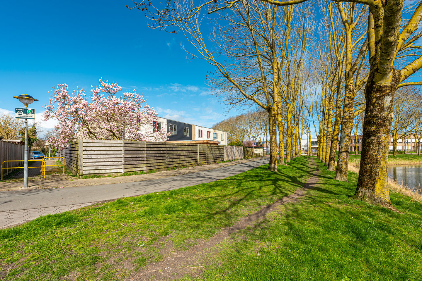 Photo 25 of Schoener 16 65