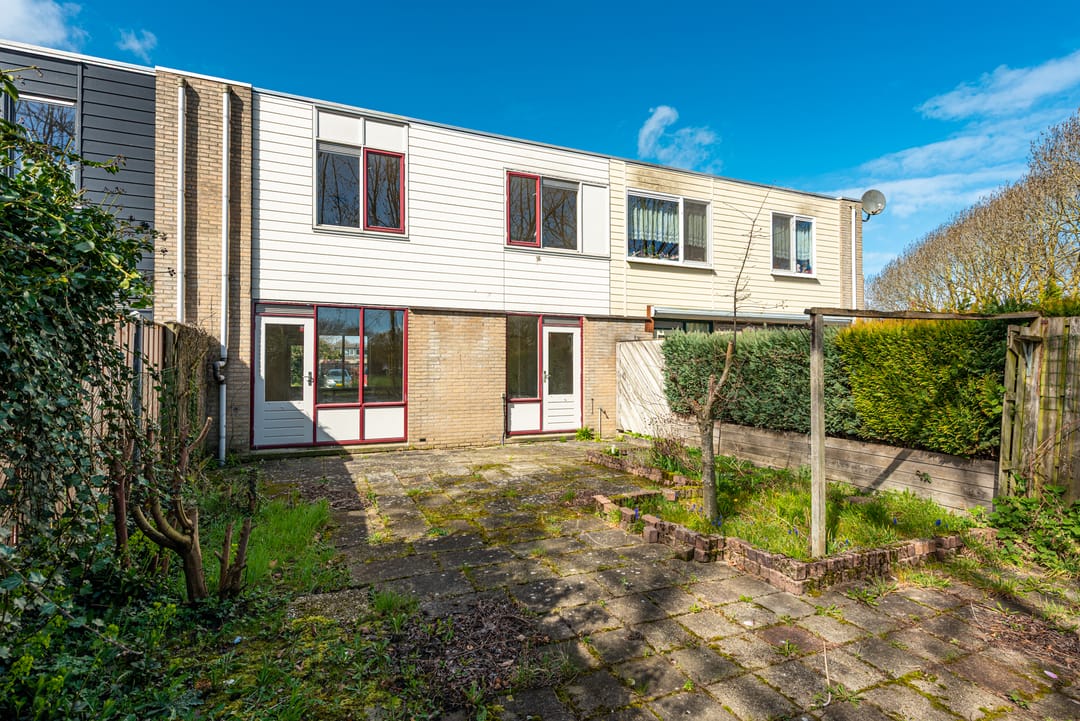 Photo 22 of Schoener 16 65