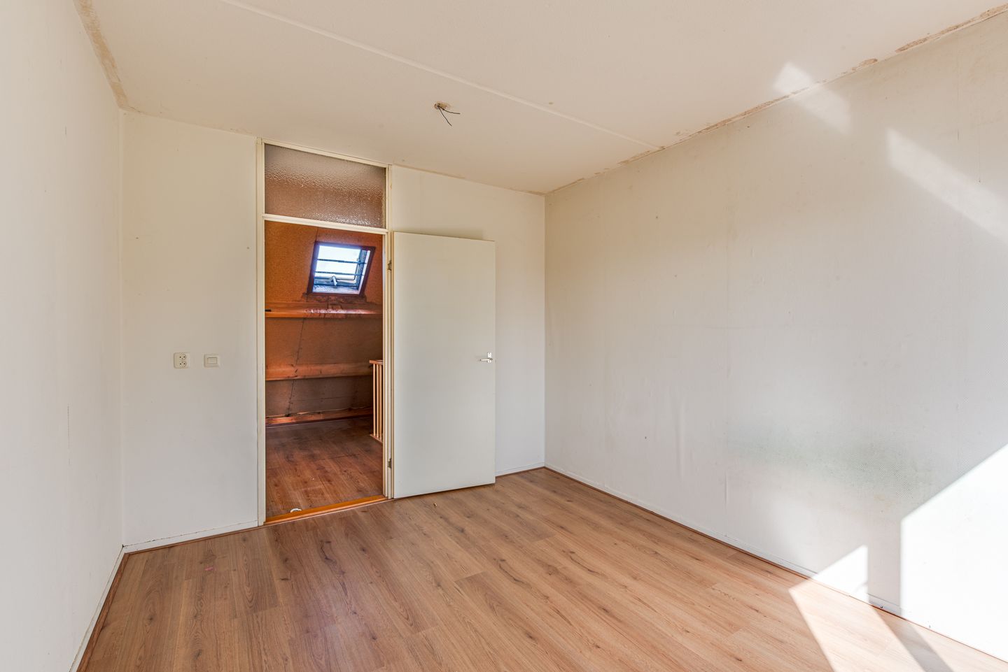 Photo 14 of Schoener 16 65