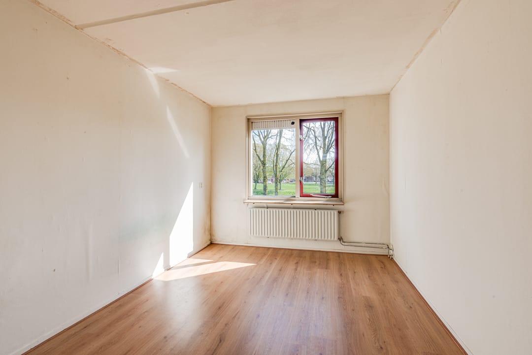 Photo 13 of Schoener 16 65