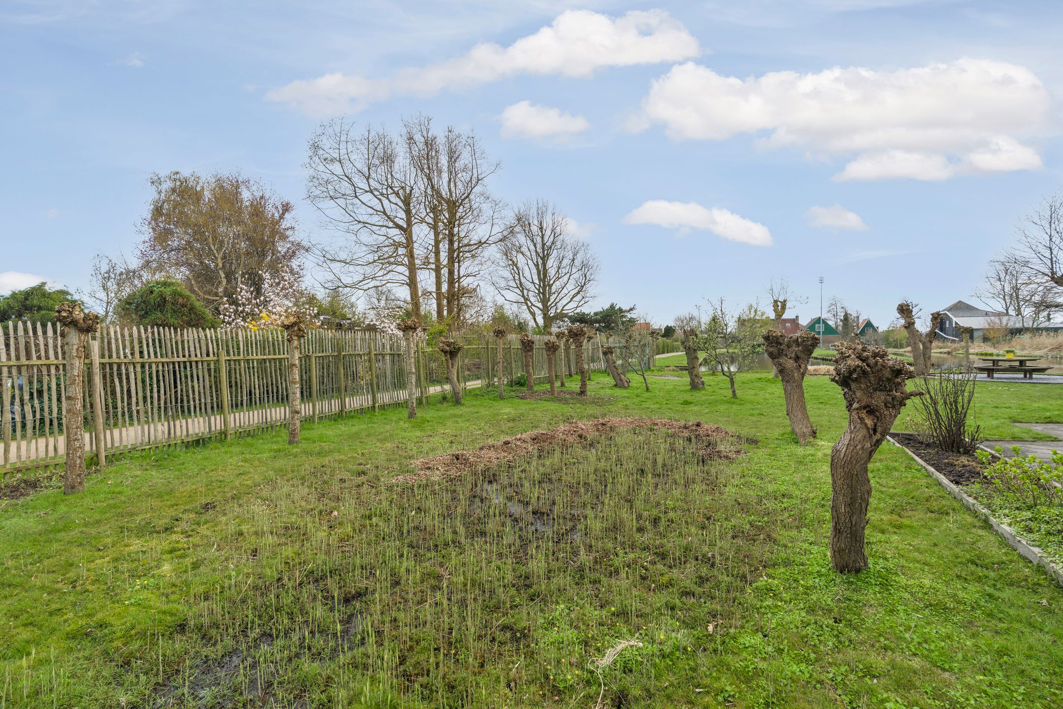 Foto 36 van Duijfjeslaan 1
