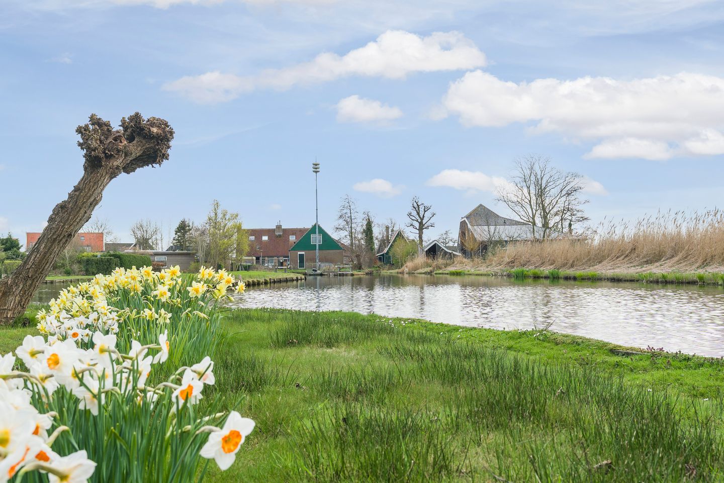 Foto 40 van Duijfjeslaan 1