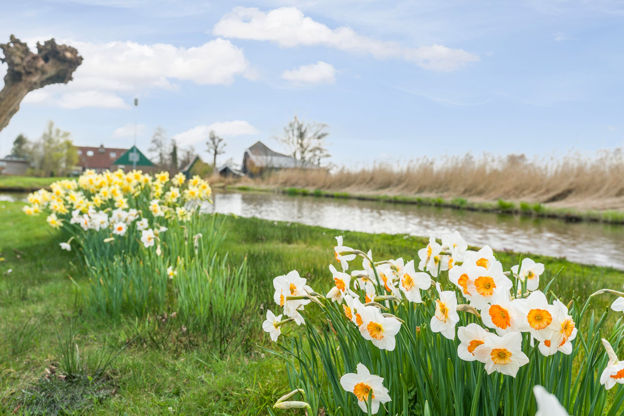 Foto 39 van Duijfjeslaan 1