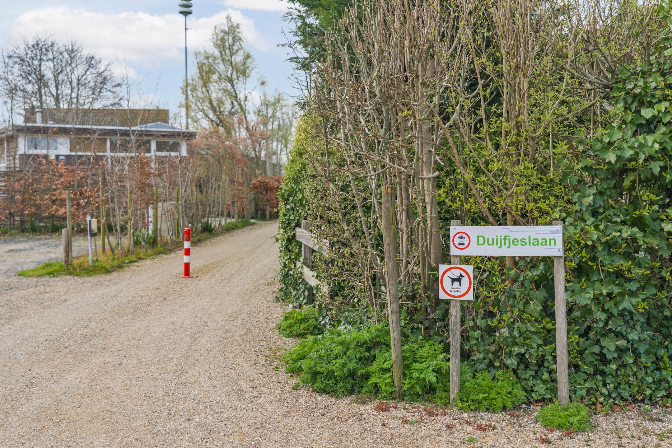 Foto 42 van Duijfjeslaan 1