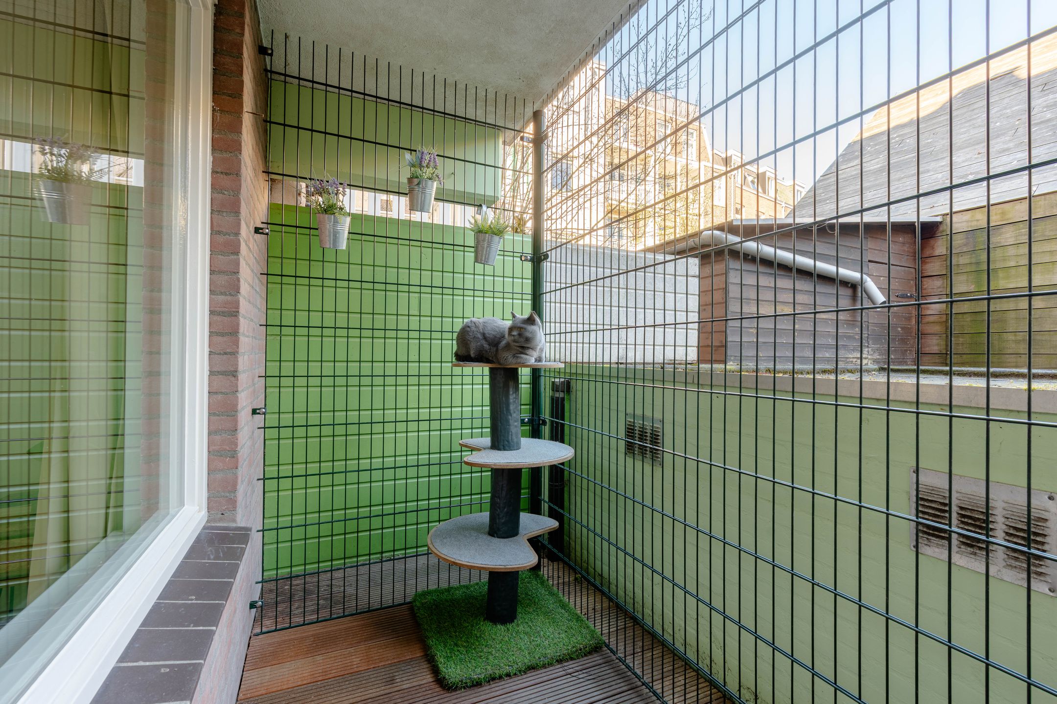 Photo 12 of Alexanderstraat 18