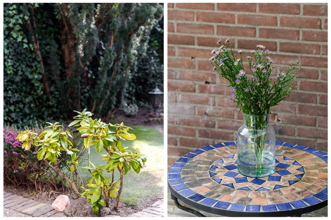 Foto 23 van Weresteijn 34