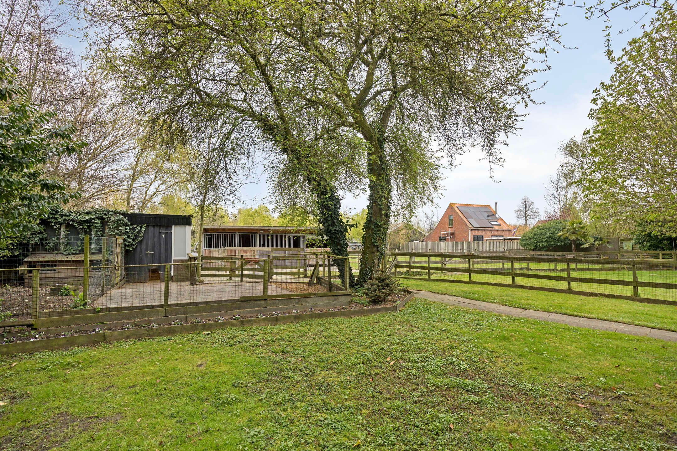 Foto 3 van Welleweg 7