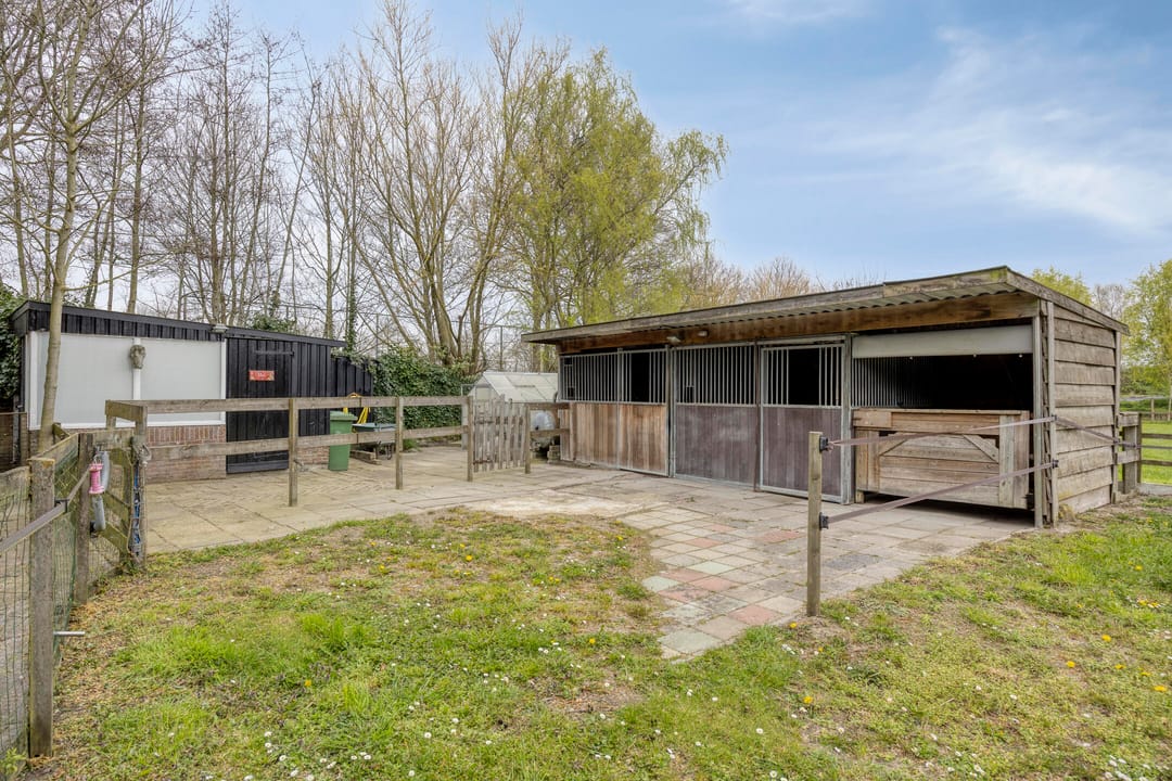 Foto 46 van Welleweg 7