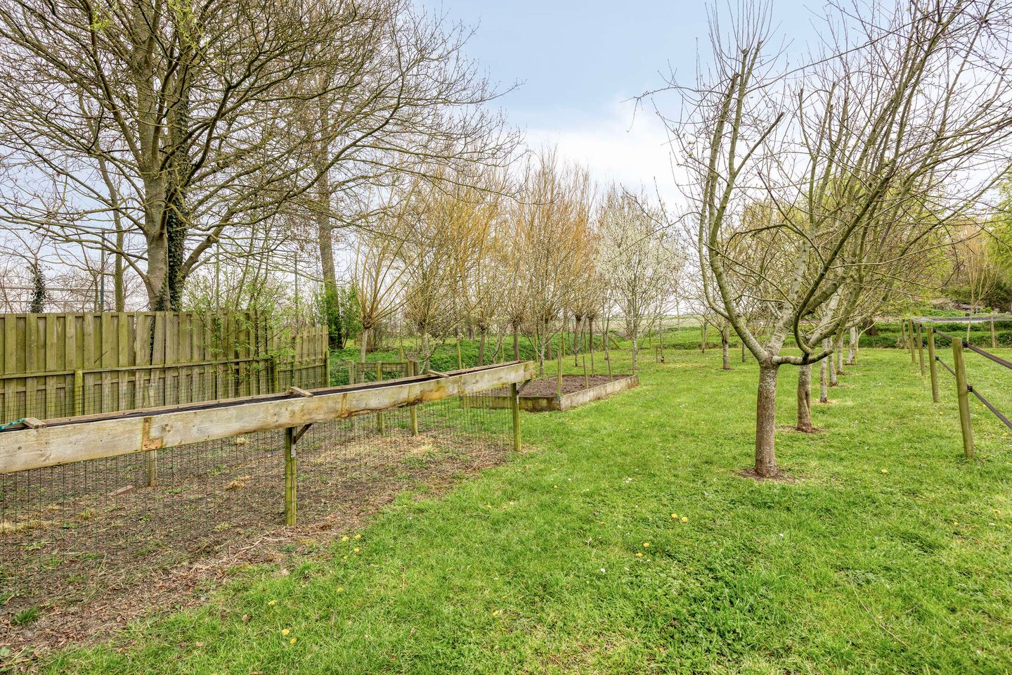 Foto 50 van Welleweg 7