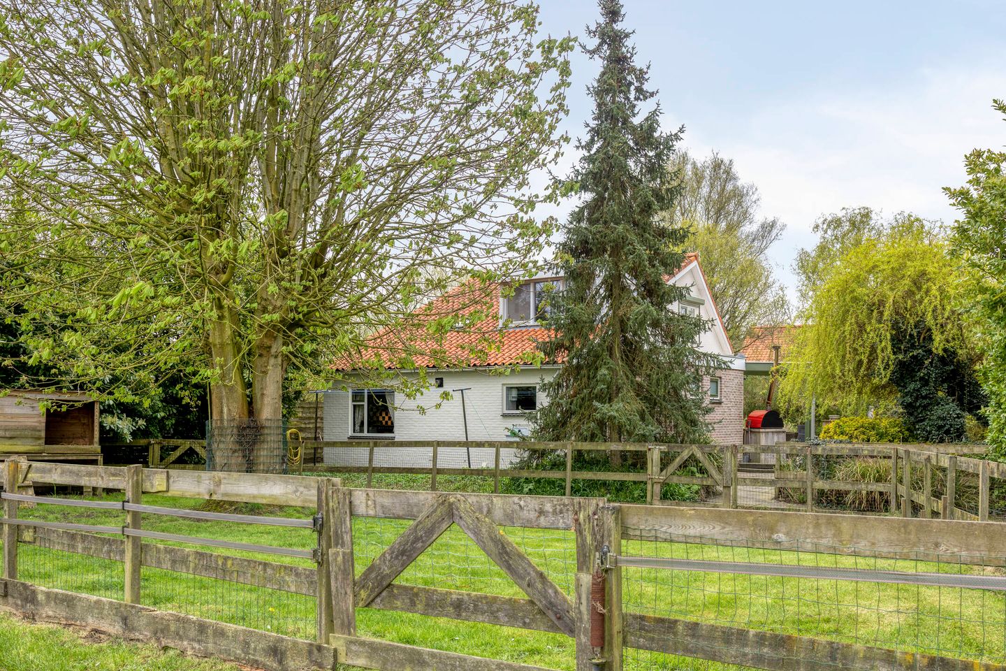 Foto 35 van Welleweg 7