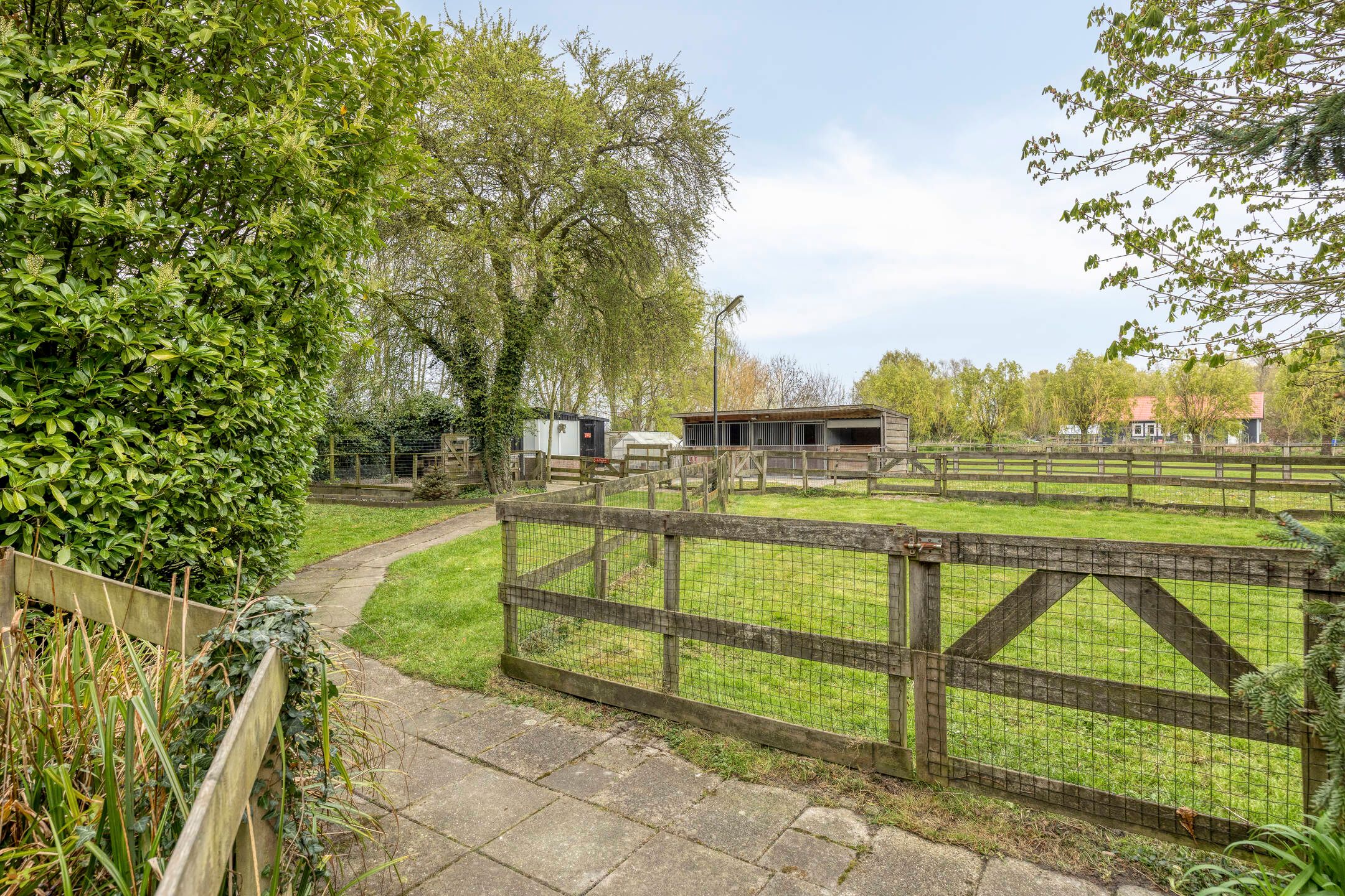 Foto 39 van Welleweg 7