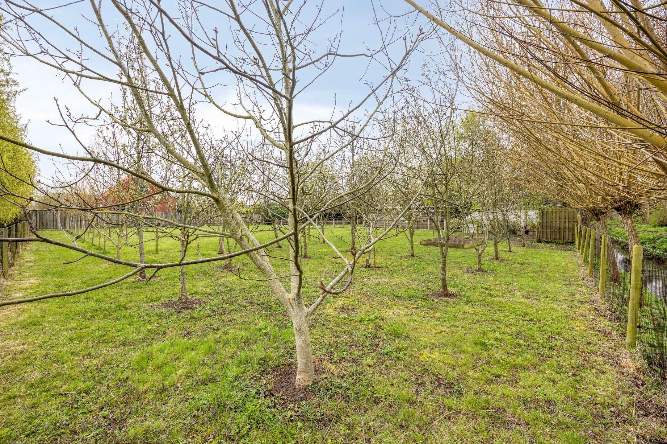 Foto 51 van Welleweg 7