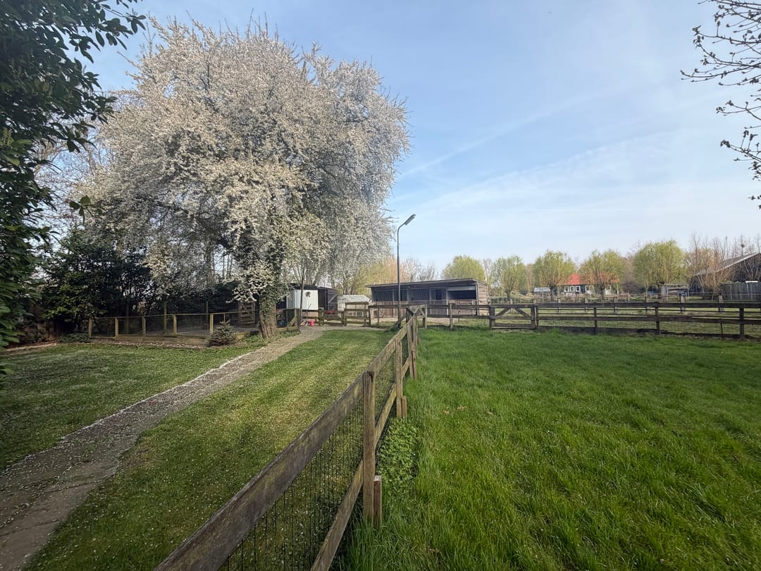 Foto 73 van Welleweg 7